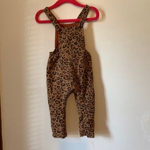Freshly Picked cheetah Baby overall 12 months
